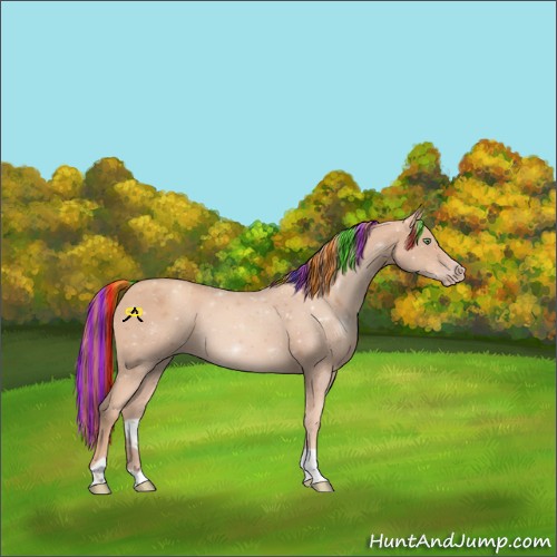 Horse Color:Painted Gold Champagne Tobiano