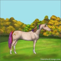 Horse Color:Painted Gold Champagne Tobiano