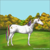Horse Color:Painted White Spotted Chestnut Ice Tobiano Appaloosa 