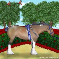 Horse Color:Brown Dun Sabino Tobiano Rabicano 