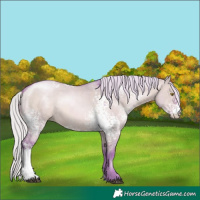 Horse Color:Watercolor White Spotted Silver Brown Pearl Dun 