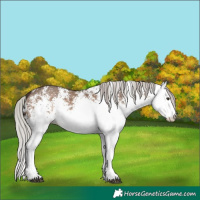 Horse Color:White Spotted Silver Brown Dun 