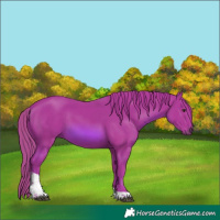 Horse Color:Watercolor Chestnut Tobiano 