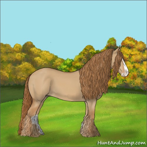 Horse Color:Red Dun Splash 