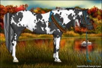Horse Color:White Spotted Black