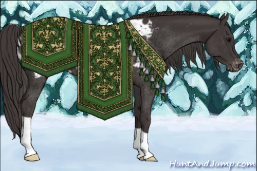 Horse Color:Smoky Black Appaloosa Rabicano 