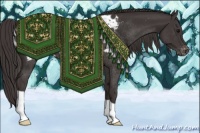 Horse Color:Smoky Black Appaloosa Rabicano 