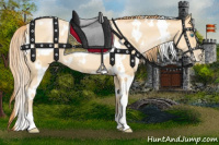 Horse Color:White Spotted Buckskin Pearl