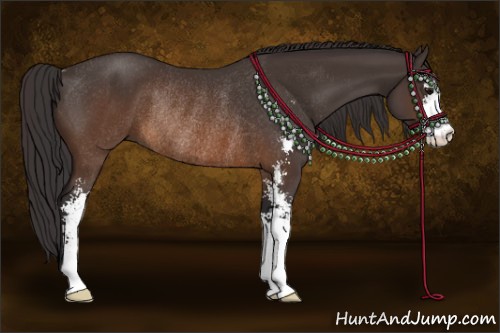 Horse Color:Buckskin Sabino Rabicano 