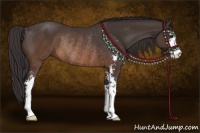 Horse Color:Buckskin Sabino Rabicano 