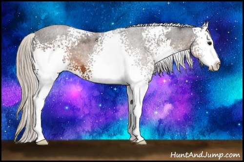 Horse Color:White Spotted Silver Buckskin Sabino 
