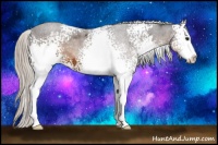Horse Color:White Spotted Silver Buckskin Sabino 