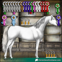 Horse Color:White Spotted Liver Chestnut Pearl Appaloosa 