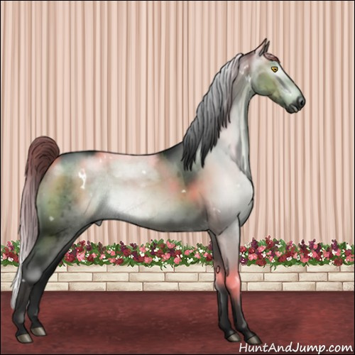 Horse Color:Gray Platinum White Spotted Brown Dun Brindle