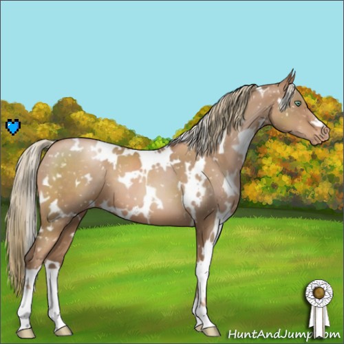 Horse Color:White Spotted Liver Chestnut Pearl Snowflake Varnish