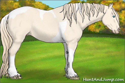 Horse Color:Perlino Tobiano Rabicano