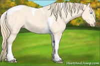 Horse Color:Perlino Tobiano Rabicano
