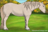 Horse Color:Smoky Creme 