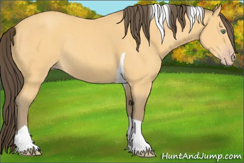 Horse Color:Amber Cream Champagne Tobiano Rabicano 