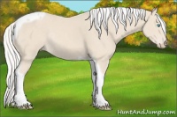 Horse Color:Silver Smoky Creme Tobiano Rabicano