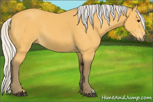 Horse Color:Silver Buckskin Rabicano