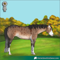 Horse Color:Brown Dun Sabino Brindle