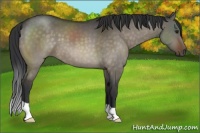 Horse Color:Brown Dun Brindle
