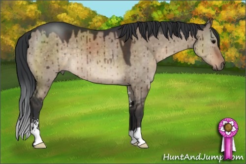 Horse Color:Brown Dun Sabino Brindle 