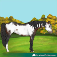 Horse Color:Brown Frame 