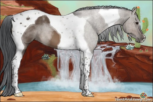 Horse Color:Brown Dun Tobiano 