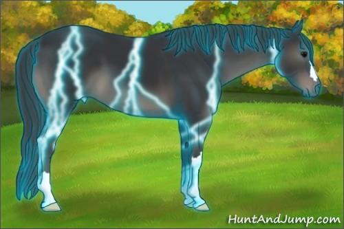 Horse Color:Thunderstruck Black 