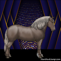 Horse Color:Silver Black 