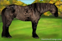 Horse Color:Void White Spotted Brown Ice Dun Splash Tobiano Appaloosa 