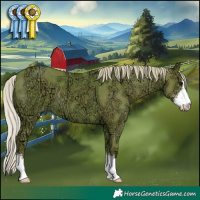 Horse Color:Watercolor Silver Black Ice Sabino 