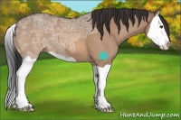 Horse Color:Brown Ice Dun Splash