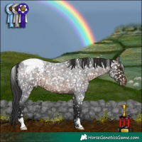 Horse Color:Brown Roan Snowcap 