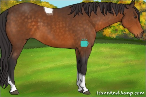 Horse Color:Buckskin Tobiano