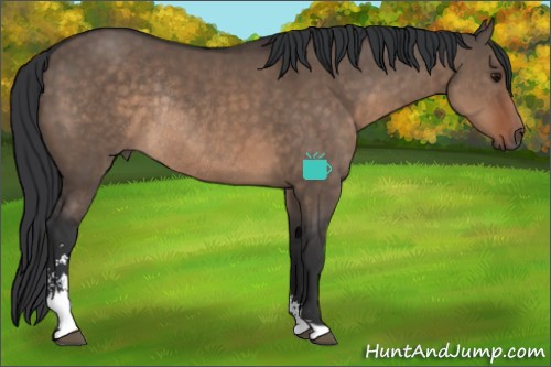 Horse Color:Brown Dun Sabino Rabicano 