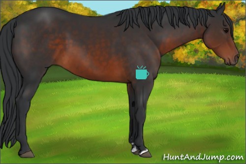 Horse Color:Brown Sabino 