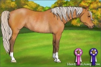 Horse Color:Silver Buckskin Rabicano 