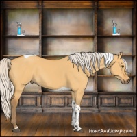 Horse Color:Silver Buckskin Dun Tobiano
