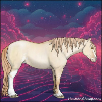 Horse Color:Red Dun Pearl Sabino 