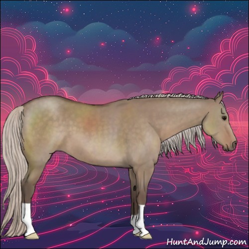Horse Color:Silver Grullo 
