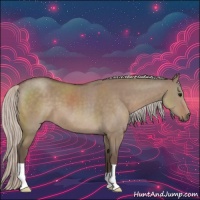 Horse Color:Silver Grullo 