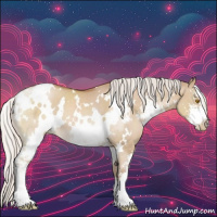 Horse Color:White Spotted Silver Grullo Pearl Sabino 