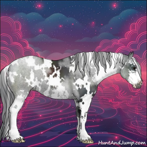 Horse Color:White Spotted Black Sabino
