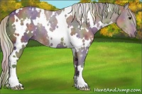 Horse Color:Nacre White Spotted Silver Black 