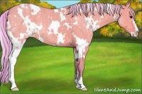 Horse Color:Watercolor White Spotted Silver Grullo Sabino 