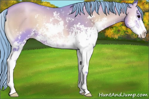 Horse Color:Watercolor Blue Onyx Pearl Sabino 