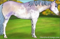 Horse Color:Watercolor Blue Onyx Pearl Sabino